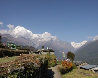 Langtang & Helambu Region Trekking